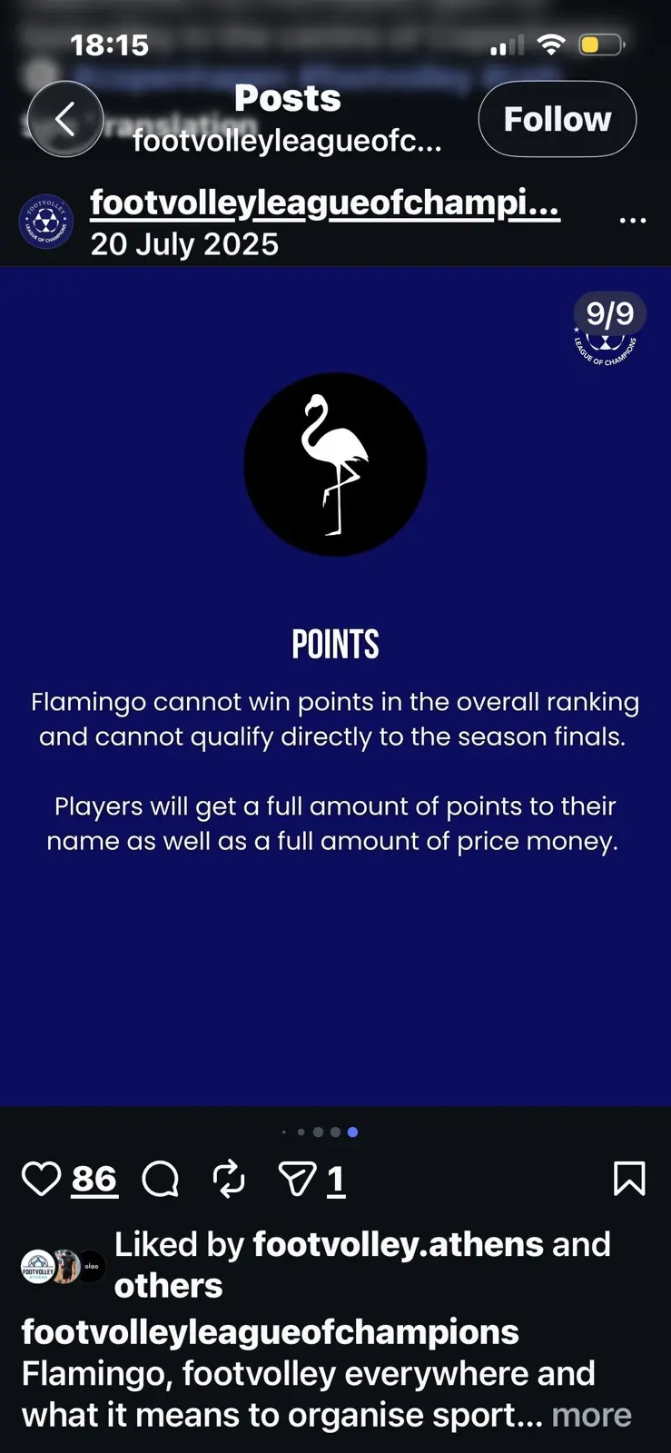 Pontos do Flamingo