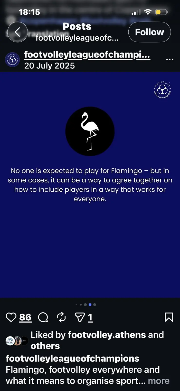 Inclusão do Flamingo