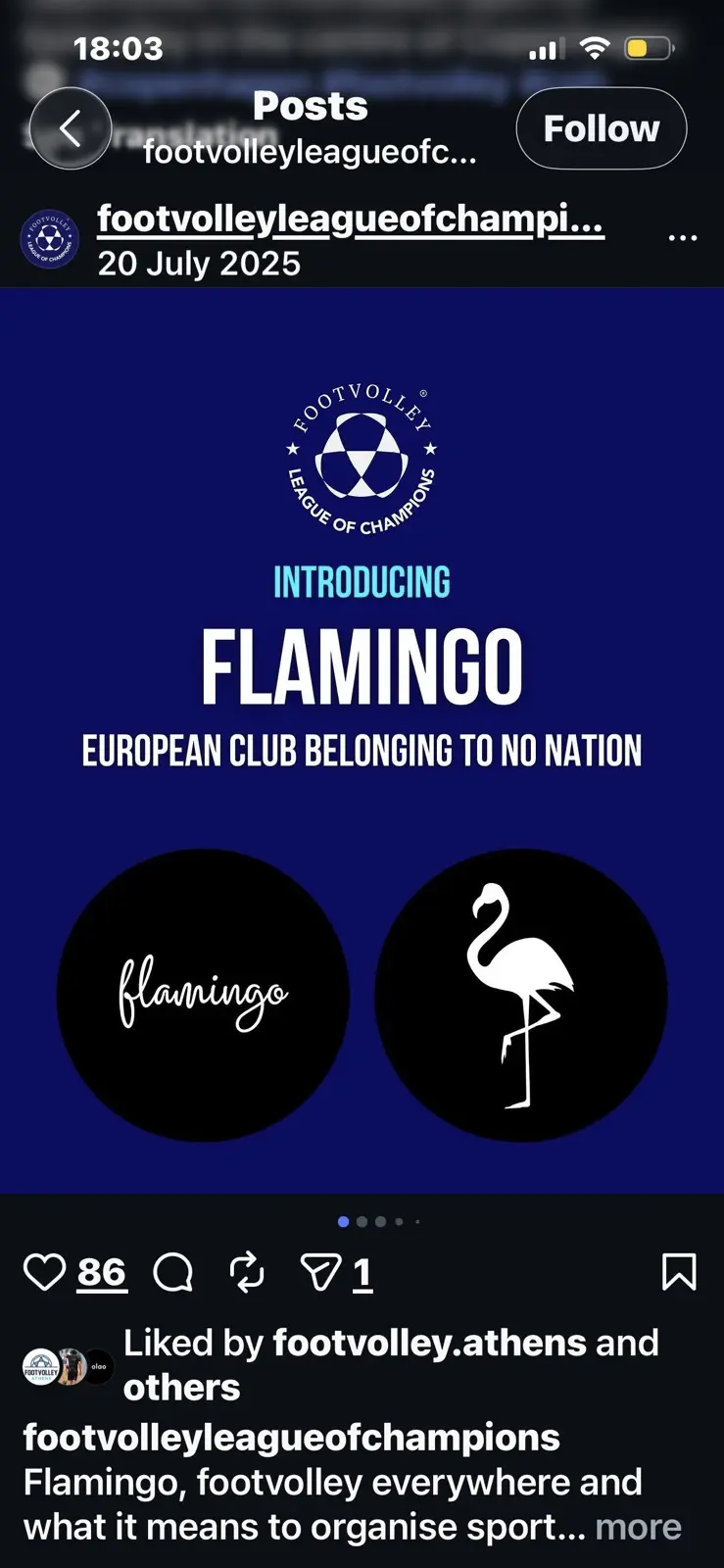 Introdução do Flamingo