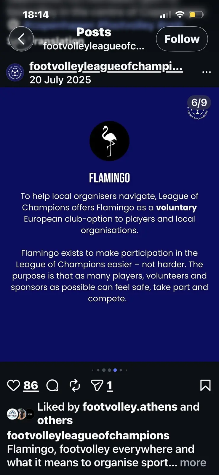 Voluntário do Flamingo