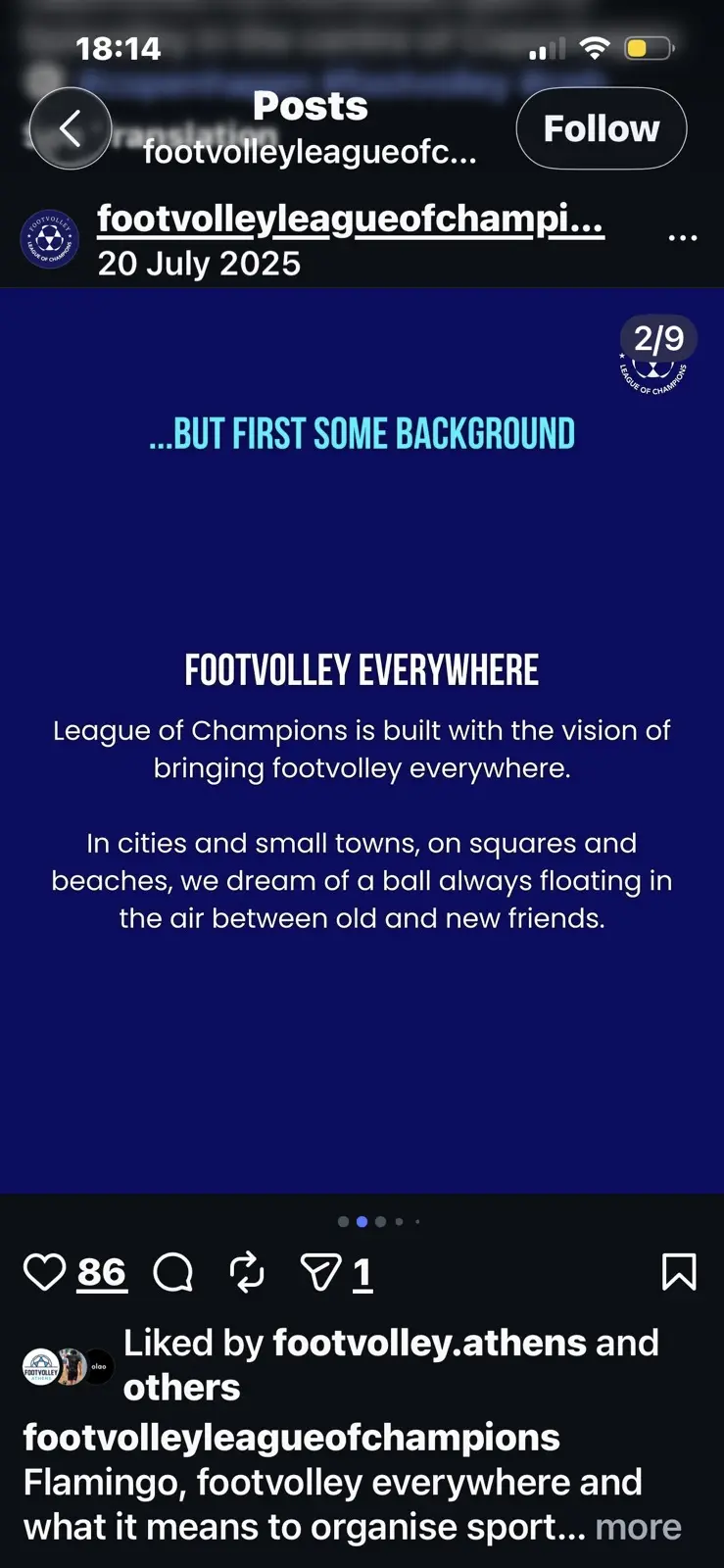Fundo do Flamingo
